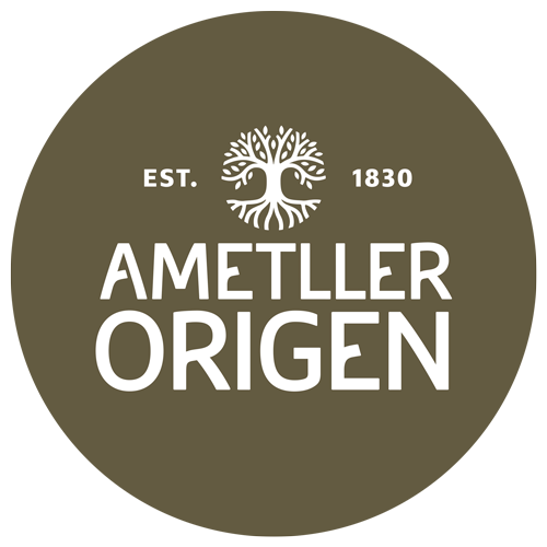 Campus Ametller